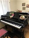 大阪府堺市南区のピアノ教室