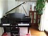 埼玉県さいたま市桜区のピアノ教室
