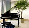 愛知県知多郡武豊町のピアノ教室
